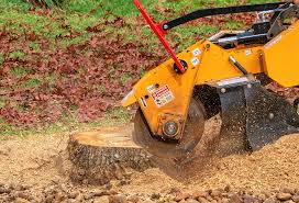 Best Weed Control  in Ack, NY